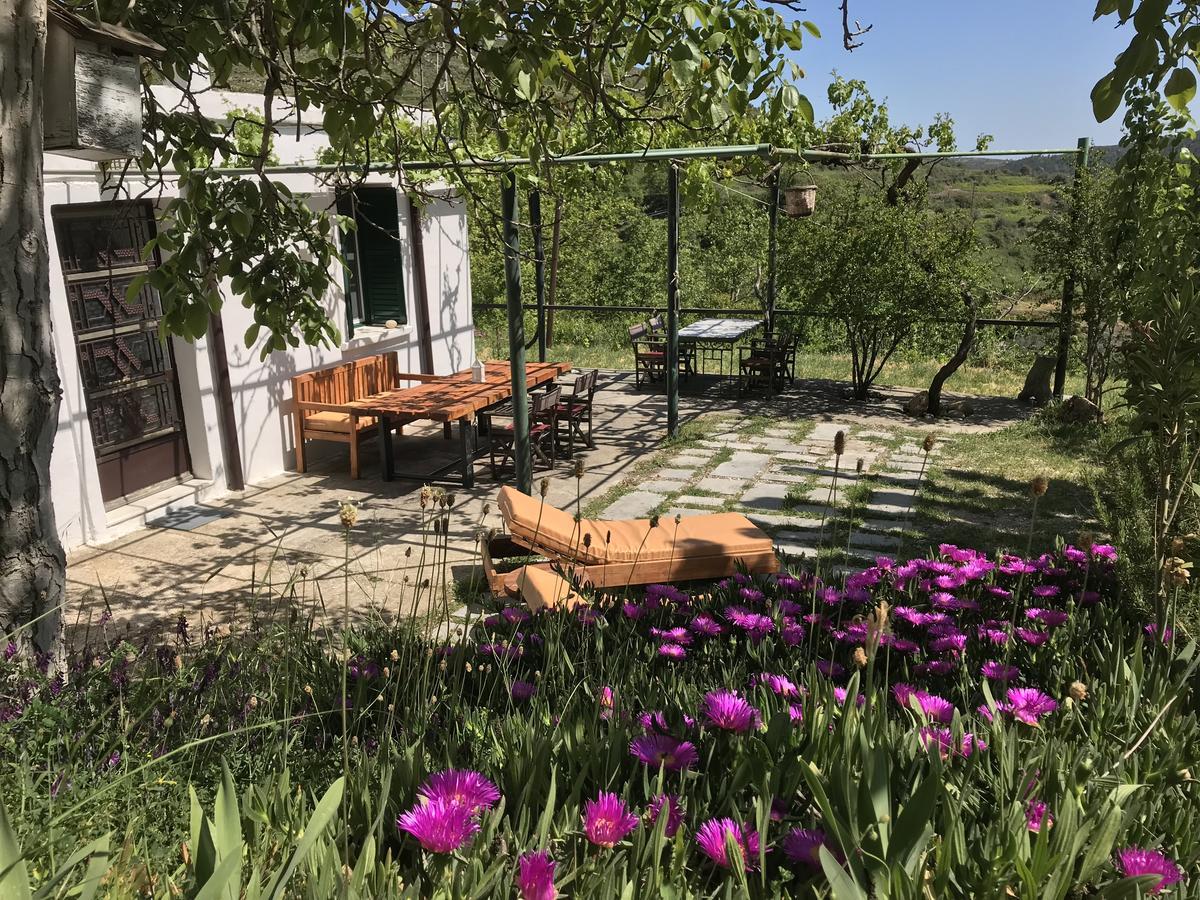 Temenia House Villa Eksteriør bilde