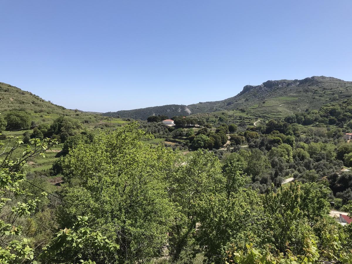 Temenia House Villa Eksteriør bilde